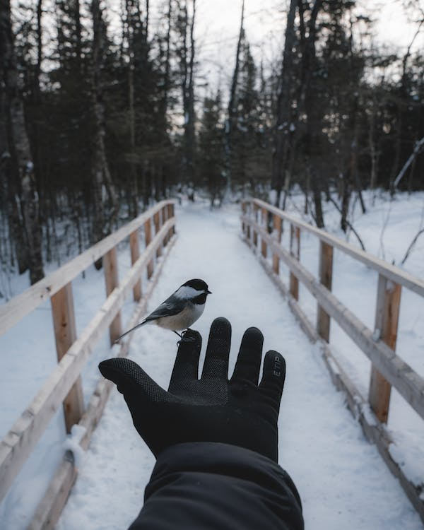 wintermaanden tip:  verwarmde handschoenen